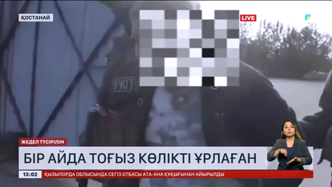 Қостанай облысының тұрғыны бір айда 9 көлікті ұрлаған