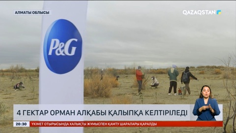 «Procter&Gamble» компаниясы мен еріктілерден құралған топ көшеттер отырғызды