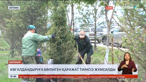 Сенатор: Көгалдандыруға бөлінген қаражат тиімсіз жұмсалды