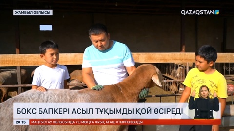 Жамбылдық шопан жылына 35 млн теңге табыс тауып отыр