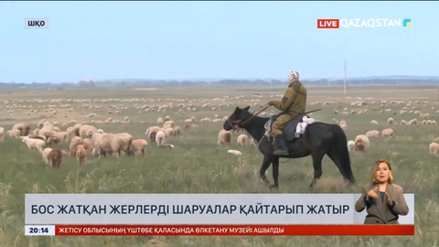 Шығыс Қазақстанда мемлекетке 90 мың гектар жер өткізілген