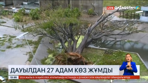 Мексикада дауылдан 27 адам көз жұмды