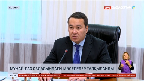 Премьер-Министр Shell компаниясының директорымен мұнай-газ саласындағы мәселелер талқыланды
