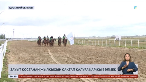 «Аllur» кәсіпорны қазақ жылқысын сақтап қалуға қаржы бөлмек