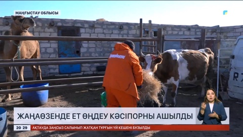 Жаңаөзенде ет өңдеу кәсіпорны ашылды