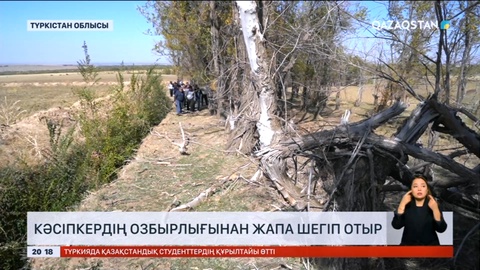 Түркістандықтар өз ауылдасының озбырлығынан жапа шегіп отыр