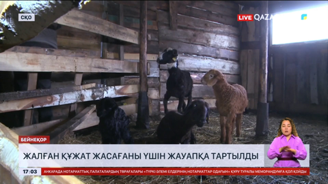 Солтүстік Қазақстан облысында жалған құжат жасағаны үшін жауапқа тартылды