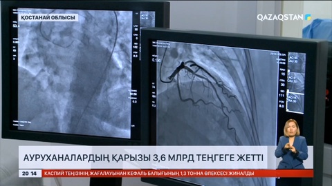 Қостанай облысындағы медицина мекемелері қарызға белшесінен батып жатыр