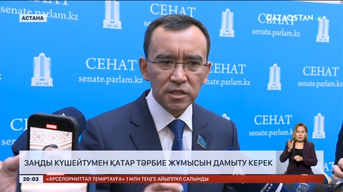 Отбасындағы зорлық-зомбылықты тек заңнаманы өзгертумен шешуге болмайды - М.Әшімбаев