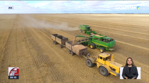 Қазақстандағы бидайдың қоры жеткілікті - министр