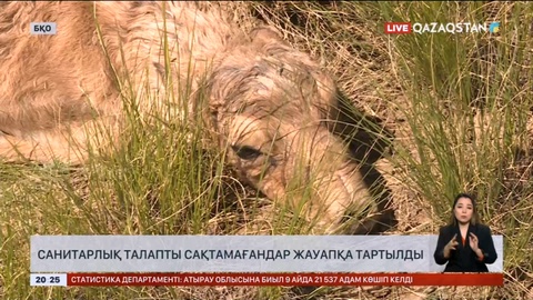 БҚО-да киік етін өңдейтін 8 комбинат жұмыс істеп тұр