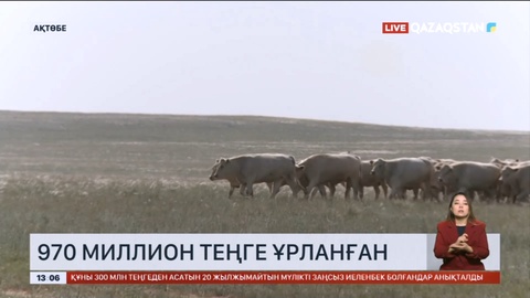 Ақтөбе облысында «Сыбаға» бағдарламасына бөлінген 970 миллион теңге ұрланған