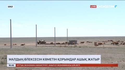 Шығыс Қазақстанда малдың өлексесін көметін қорымдар ашық жатыр