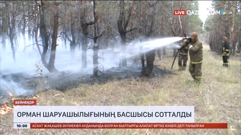 Қостанай облысында орман шаруашылығының басшысы сотталды