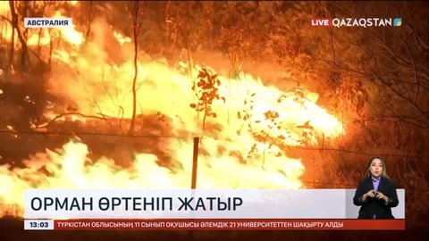 Австралияда орман өртімен күрес жалғасып жатыр