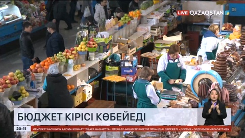 Үкімет алдында бюджет кірісін көбейту міндеті тұр