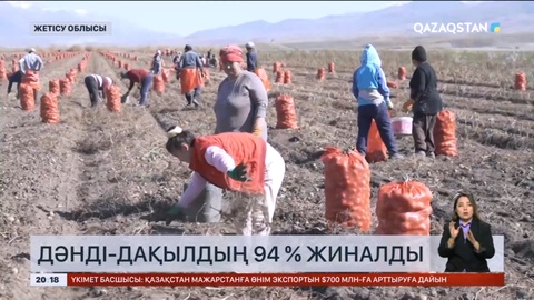 Жетісу облысында күзгі жиын-терін науқаны аяқталуға жақын