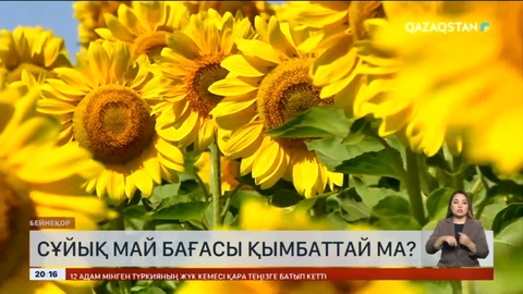 Елімізде сұйық май бағасы қымбаттай ма?