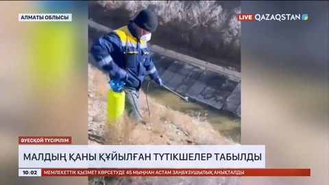 Алматы облысында малдың қаны құйылған түтікшелер табылды