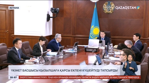 Үкімет басшысы қызылшаға қарсы екпені күшейтуді тапсырды