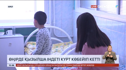 Шығыс Қазақстан облысында 60 адам қызылша ауруына шалдықты