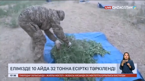 Елімізде 10 айда 32 тонна есірткі тәркіленді