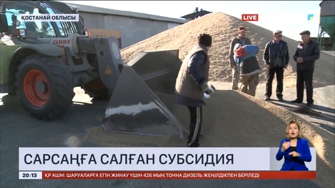 Қостанайлық диқандар субсидия үшін алаңдаулы