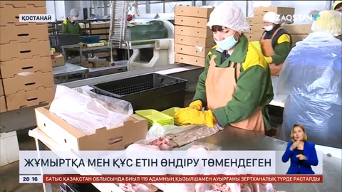 Биыл елімізде жұмыртқа мен құс етін өндіру көрсеткіші төмендеген