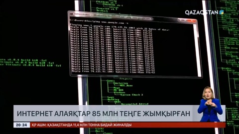 Интернет алаяқтар көкшетаулық тұрғындардың 85 млн теңгесін жымқырған