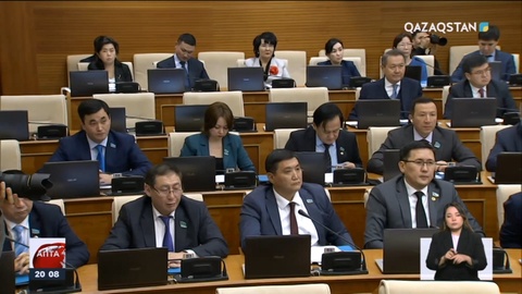 Мәжіліс депутаты үкіметтік бюджеттің техникалық дефолты жайлы ескертті