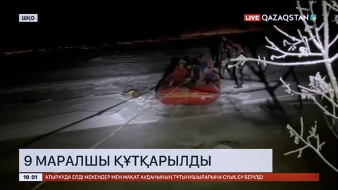 Шығыс Қазақстан облысында 9 маралшы құтқарылды