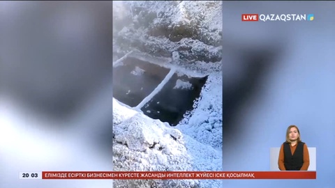 Президент коммуналдық желілердің жұмысын реттеуді талап етті