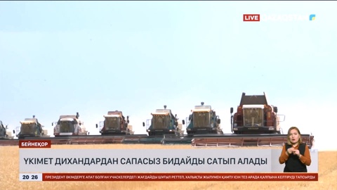 Үкімет дихандардан сапасыз бидайды сатып алады