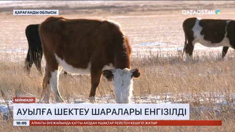 Қарағанды облысында ірі қараның құтыру дерегі тіркелді