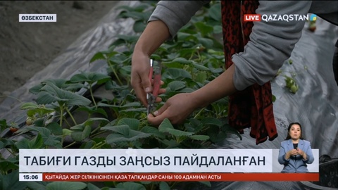 Өзбекстанда табиғи газды заңсыз пайдаланған жылыжайлар анықталды