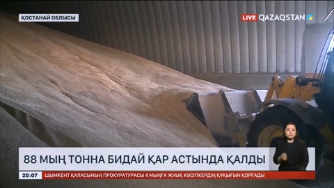 Қостанай облысында 88 мың тонна бидай қар астында қалды
