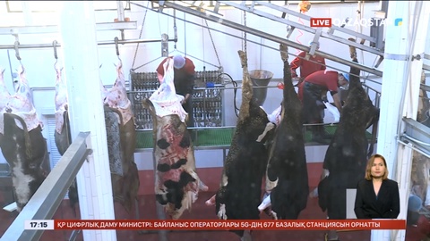 Асыл тұқымды мал санының көбеюіне байланысты ет экспортының әлеуеті артты
