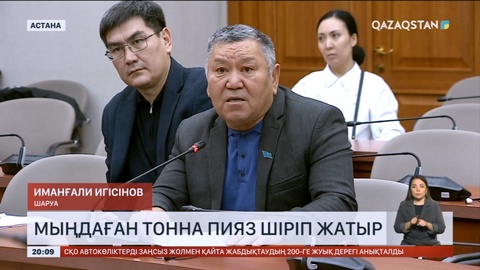 18 мың тонна пияз шіріп кетті: Дихандар Парламентке барды