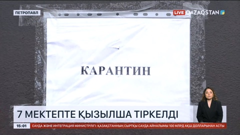 Солтүстік Қазақстан облысында 7 мектепте қызылша тіркелді