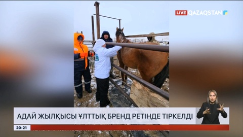 Адай жылқысы ұлттық бренд ретінде тіркелді