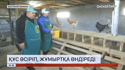 Қостанай облысында құс өсіріп, жұмыртқа өндіреді