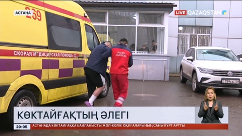 Көктайғақ Астана халқын әлекке салды