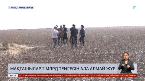 Жетісайлық диқандар зауыттардан 2 млрд теңгесін ала алмай жүр