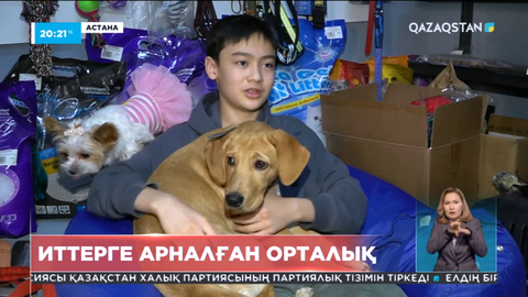 Астанада иттерге арналған орталық жұмыс істейді