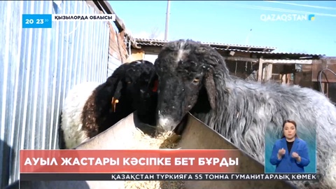 Қызылордада ауыл жастары кәсіпке бет бұрды