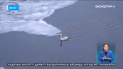 Ақтөбеде су қоймалары ерекше бақылауға алынды