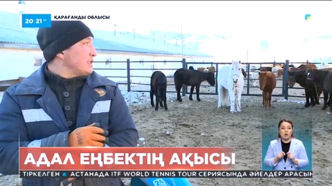 Қарағанды облысында фермер ауыл жастарын еңбекке баулып отыр