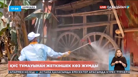 Камбоджада құс тұмауынан 11 жасар жеткіншек көз жұмды