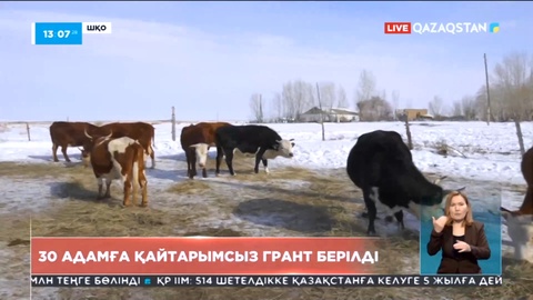 Тарбағатай ауданында 30 адамға қайтарымсыз грант берілді