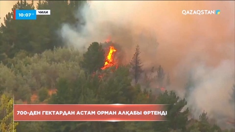 Чилиде 700 гектардан астам орман алқабы өртенді